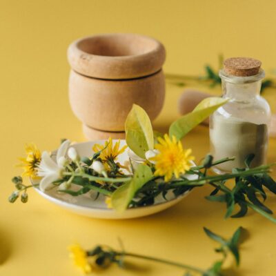 Yellow Flowers in Brown Clay Pot